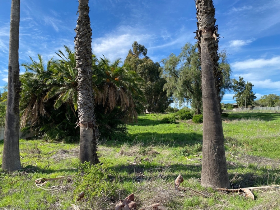0 Bedroom Property for Sale in Hopefield Western Cape